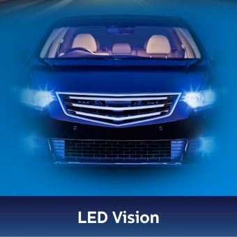 LED Vision